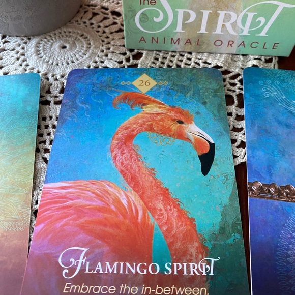 The Spirit Animal Oracle Deck - Multicolor NWOT - Picture 5 of 13